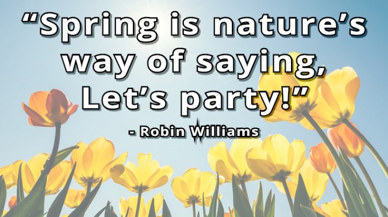 Spring Quote Spring Quote